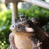 ロボカエル(^^)3
