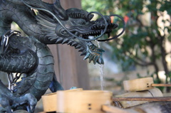 神龍現る。