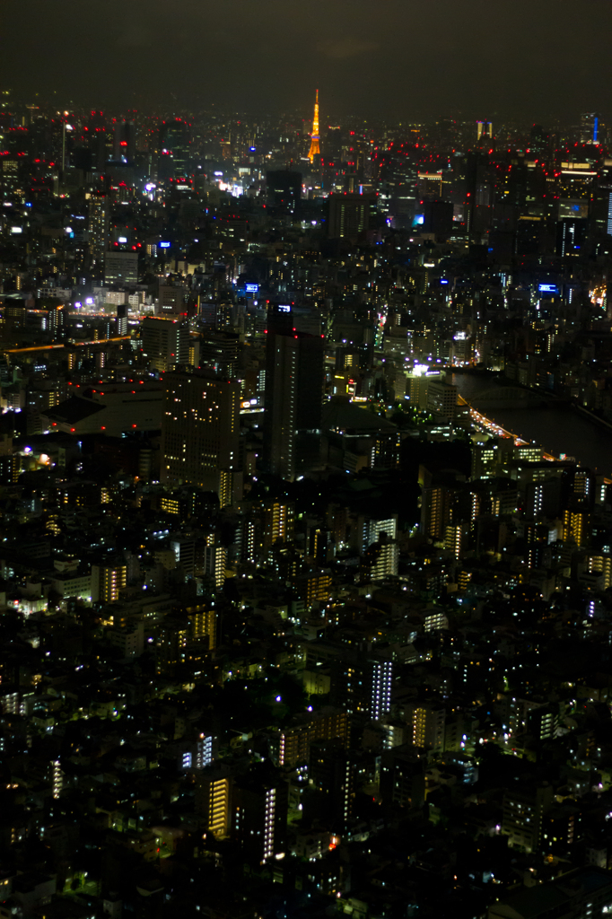FROM SKYTREE