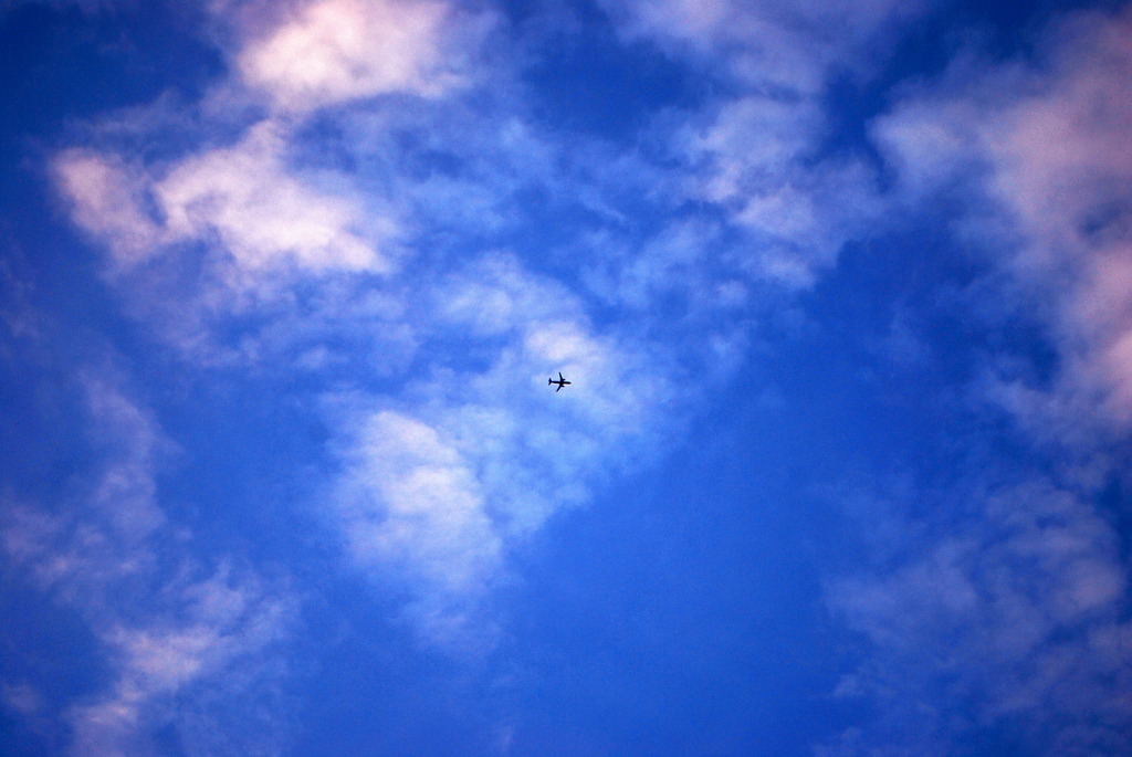 飛行機