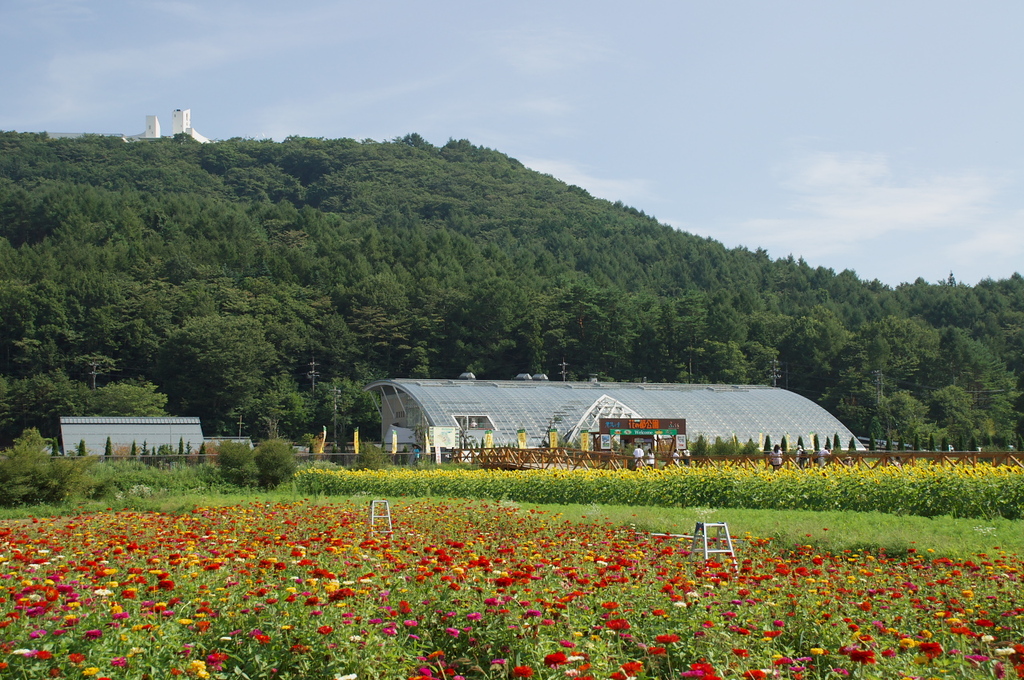 山中湖花の都公園