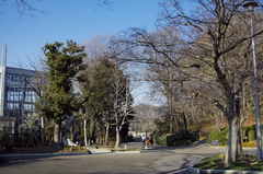 冬の川口グリーンセンター