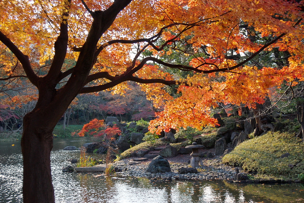 小石川後楽園の紅葉4