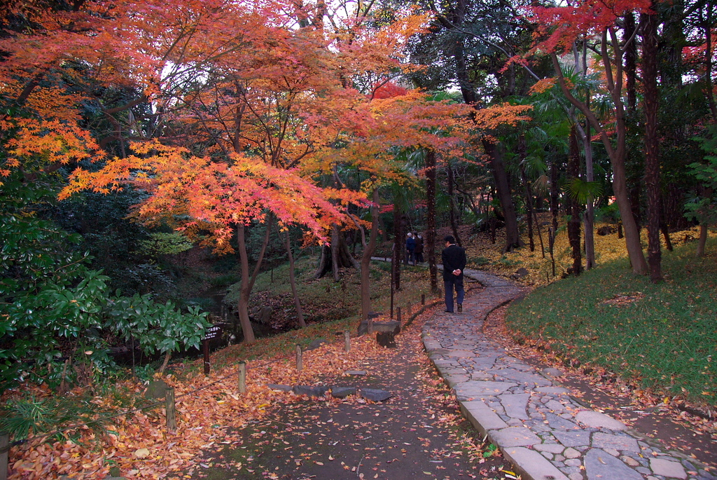 小石川後楽園の紅葉5