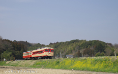 いすみ鉄道　急行 「そと房」1号