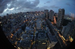 TOKYO NIGHT 2/夜景:東京