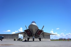 最新鋭ステルス戦闘機　F-22 Rapter