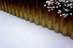 桜川