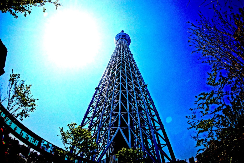 TOKYO SKY TREE FISH EYE