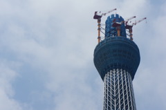 スカイツリー438m
