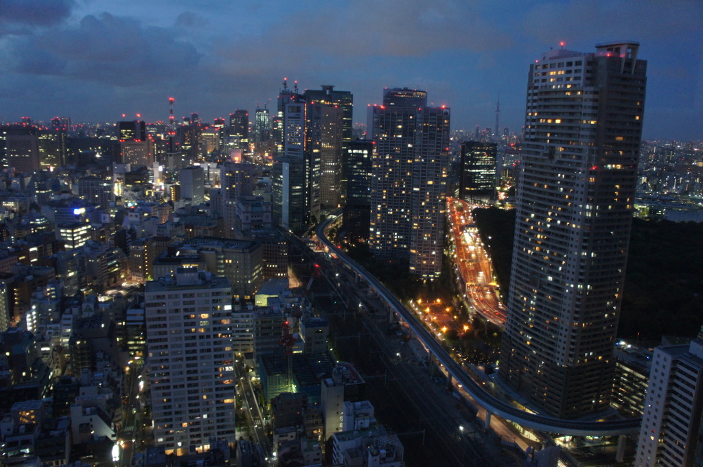 TOKYO NIGHT 1/夜景:東京