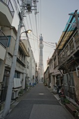 下町のスカイツリー