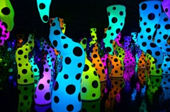 KUSAMA WORLD