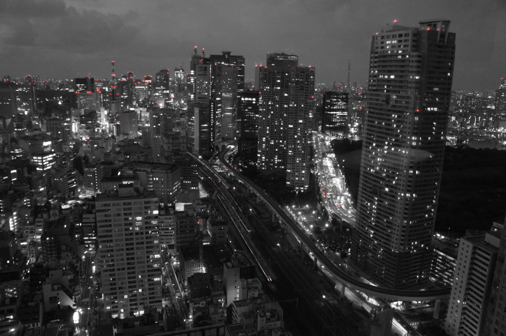 TOKYO BLACK NIGHT RED DOT/夜景:東京