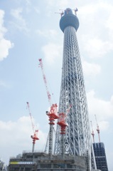 スカイツリー438m