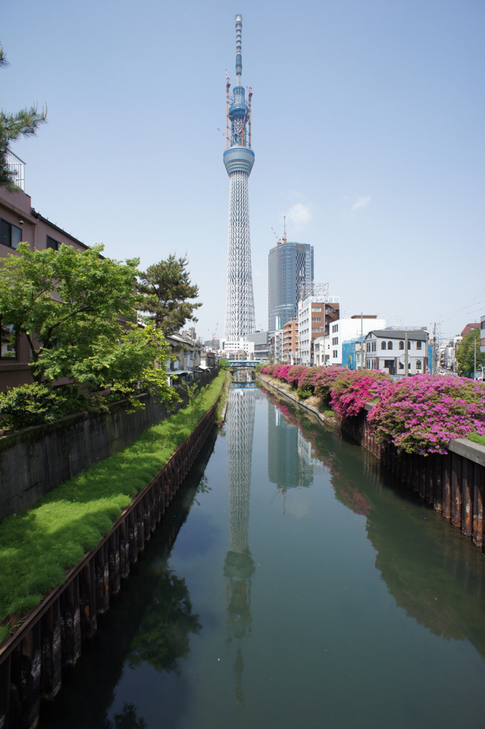 スカイツリー634m十間橋