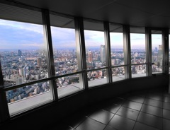 TokyoTower/東京タワー（白黒とカラー）