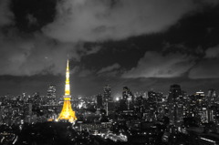 TOKYO NIGHT(YELLOW)/夜景:東京タワー