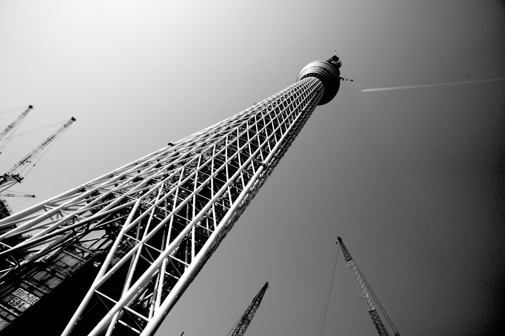 スカイツリー/sky tree 594(b&w)