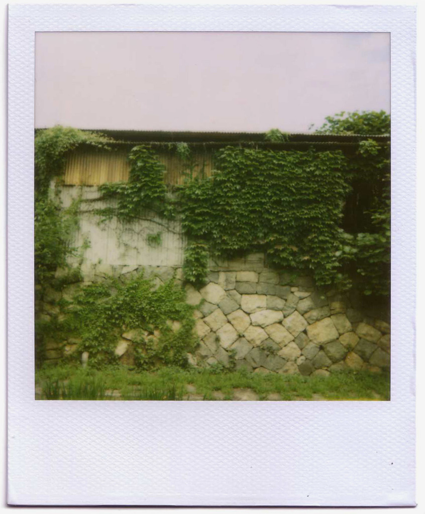 Pola*04