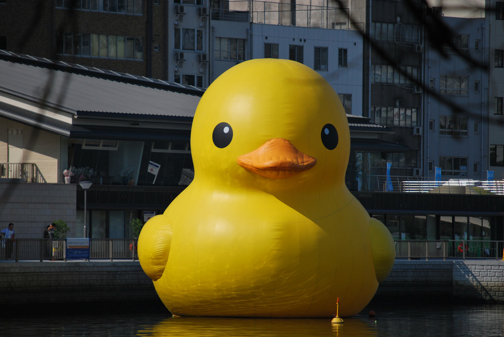 水都大阪2009*例のアヒル