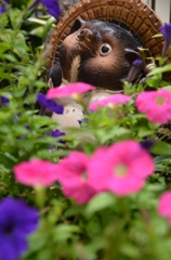 花に囲まれて