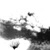 それぞれの秋