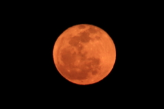 今夜は赤い月だった。。。