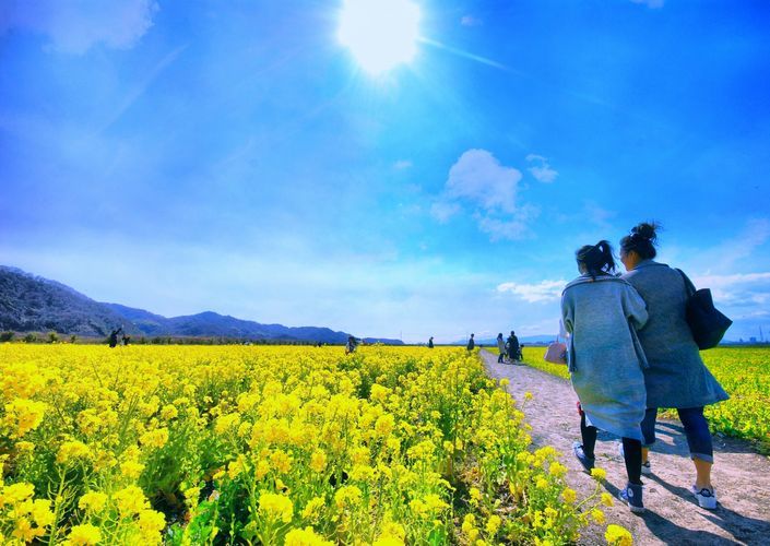 Flower　field^^