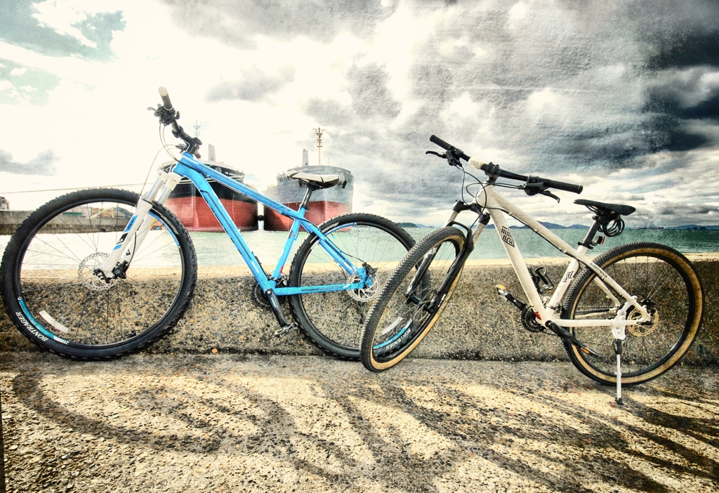 W-Bicycle