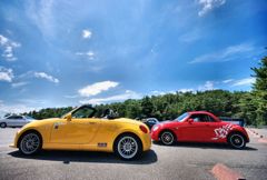 Yellow and red