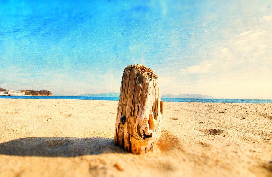 漂流物
