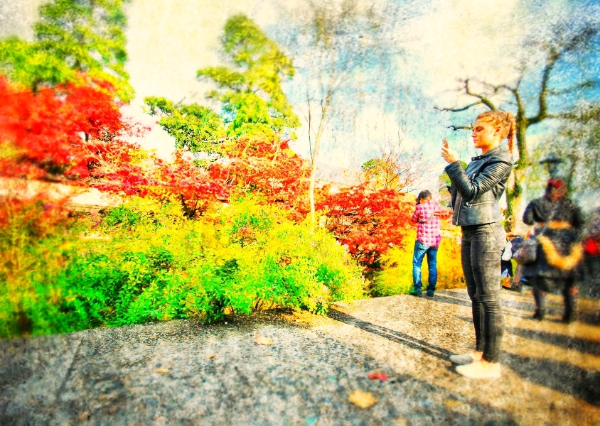 日本を送る～❤