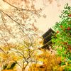 国分寺