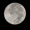 Full moon