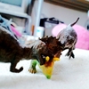 悪ふざけ