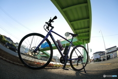 魚眼レンズと歩道橋