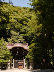 鎌倉八幡様の中