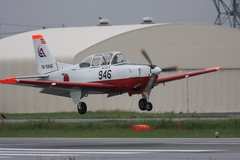 T7