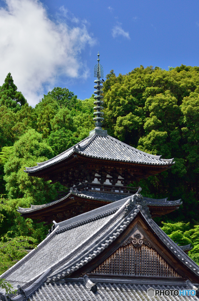 夏の当麻寺