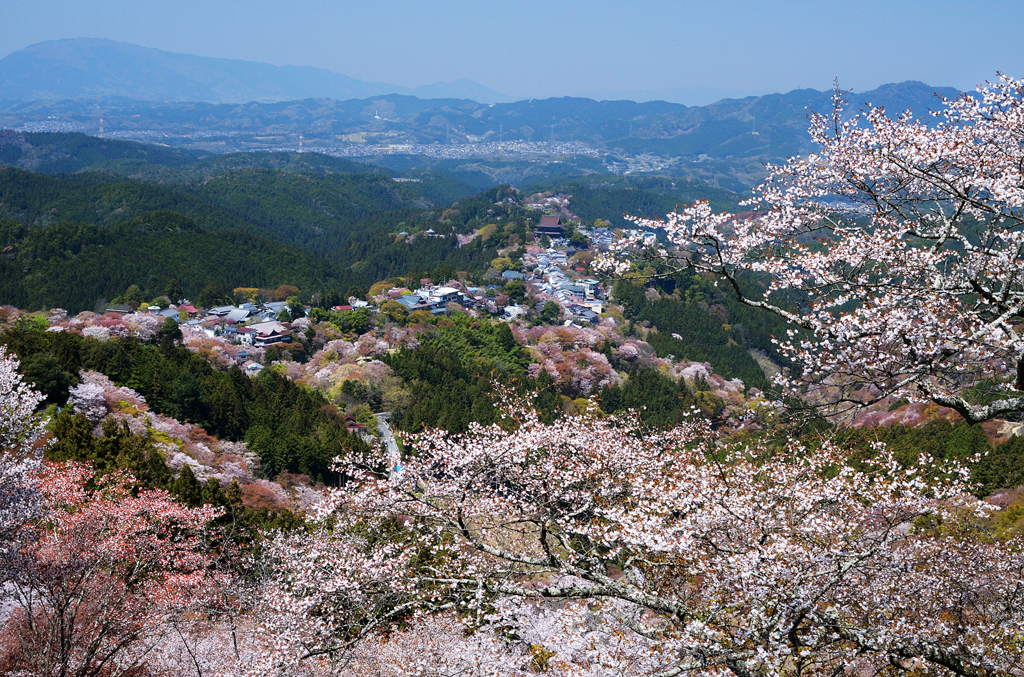 吉野山_08_花矢倉付近から蔵王堂を望む