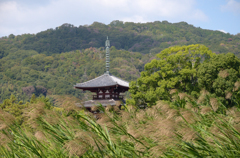 仏塔のある風景_法輪寺