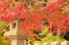 紅葉と石灯籠
