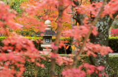 秋の法隆寺_03