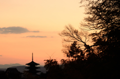 冬茜の法隆寺_06