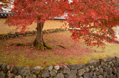 大湯屋付近の紅葉