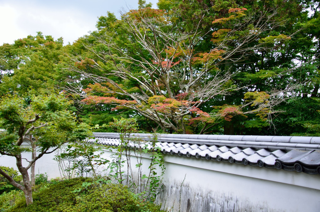 芳徳寺_02