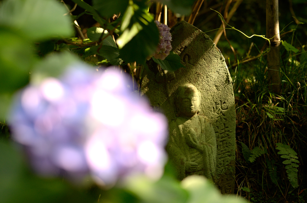矢田寺_07