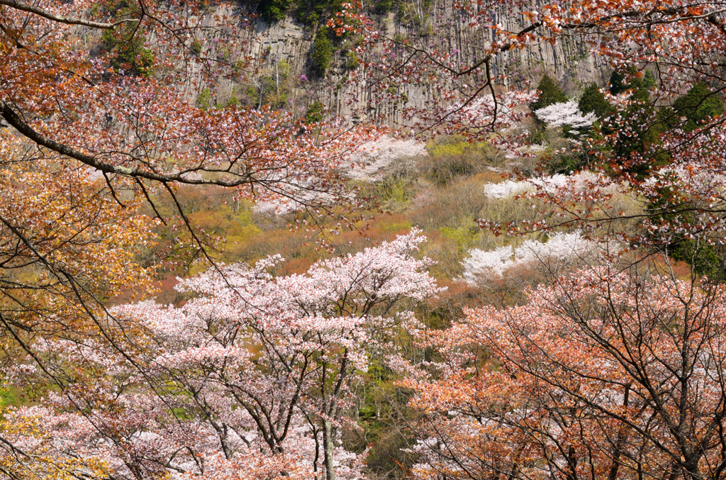 屏風岩_05