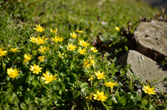 20130315